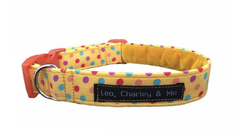 Sunshine dog collar